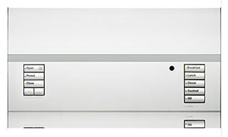 Lutron QSGFP-1TPL QSG MATTE COVER 1 SHADE