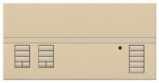 Lutron QSGFP-2DS QSG MATTE COVER 2 SHADE